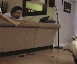 吃瓜gif,GIF瞬间捕捉生活百态